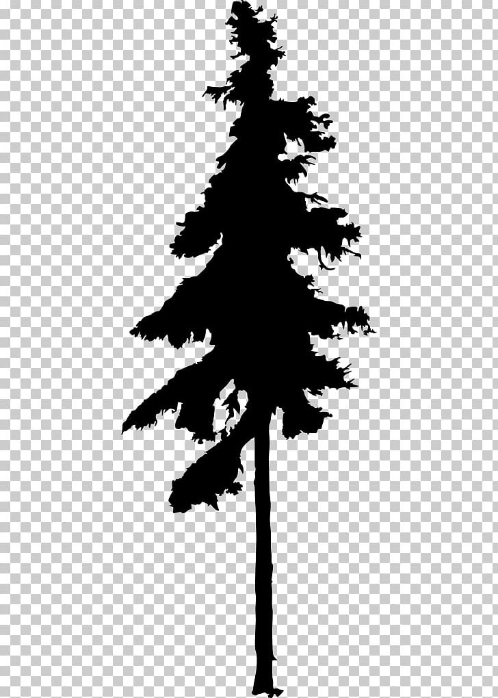 Fir Pine Silhouette Drawing PNG, Clipart, Animals, Black And White, Branch, Christmas Tree, Conifer Free PNG Download