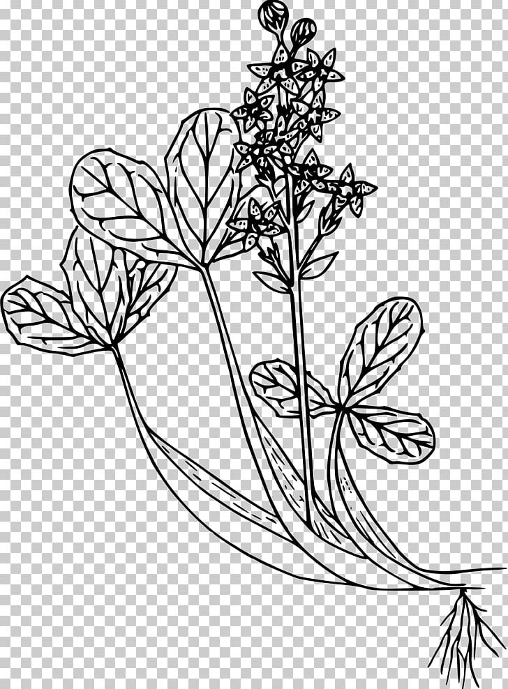Floral Design Leaf Visual Arts Plant Stem PNG, Clipart, Art, Art Clipart, Black And White, Bog, Branch Free PNG Download