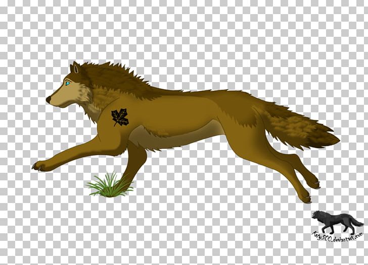 Gray Wolf Canidae Drawing PNG, Clipart,  Free PNG Download