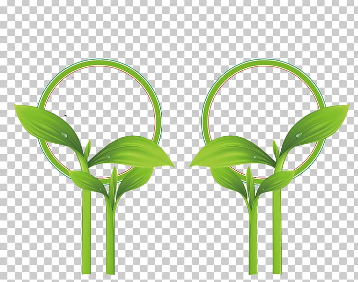 Green Shoot PNG, Clipart, Branch, Encapsulated Postscript, Flower, Glass, Grass Free PNG Download