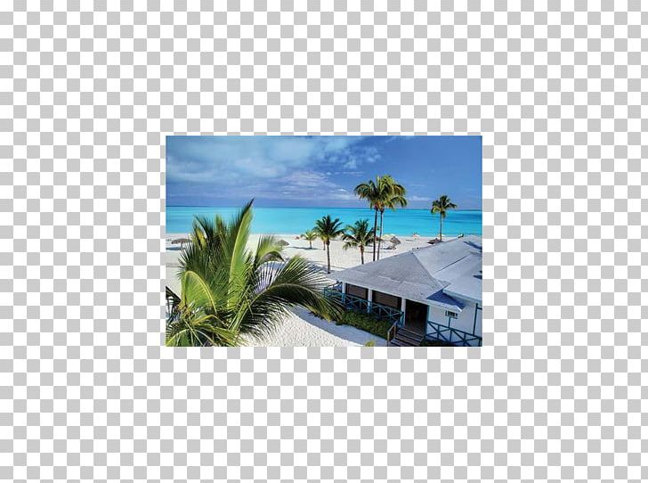 Green Turtle Cay Treasure Cay Hope Town Hilton At Resorts World Bimini Big Joe Downer Cay PNG, Clipart, Abaco Islands, Bahamas, Bimini, Cay, Green Turtle Cay Free PNG Download