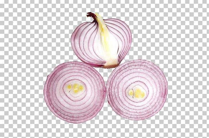 Onion Icon PNG, Clipart, Circle, Dishware, Download, Euclidean Vector, Fresh Free PNG Download