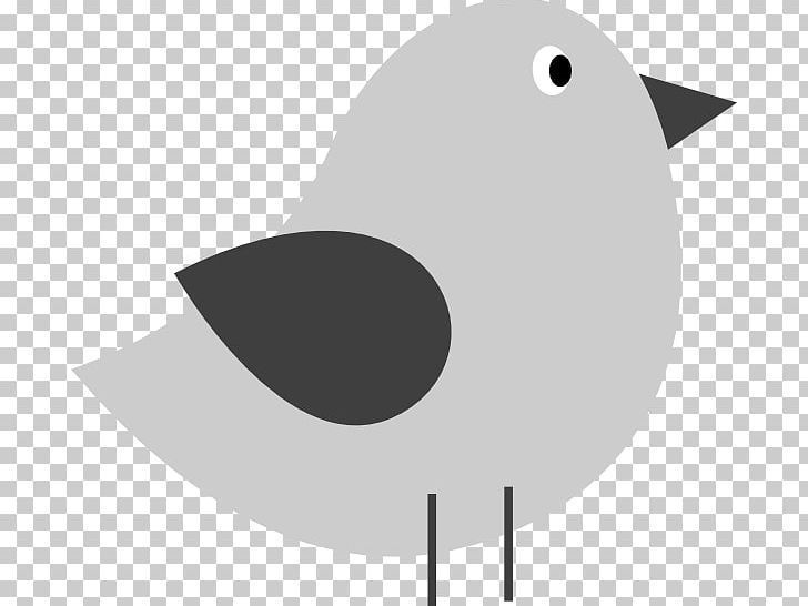 Bird Drawing PNG, Clipart, Angle, Animals, Art, Beak, Bird Free PNG Download