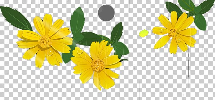 Chrysanthemum Flower Euclidean PNG, Clipart, Chrysanthemum Chrysanthemum, Chrysanthemums, Daisy Family, Encapsulated Postscript, Flowering Plant Free PNG Download