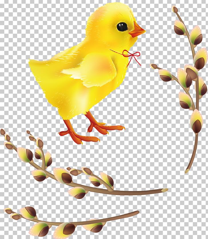 Easter Bunny PNG, Clipart, Animals, Baskets, Beak, Bird, Branch Free PNG Download