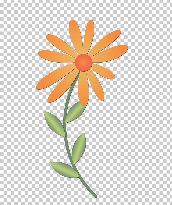 Flower Photography PNG, Clipart, Bird, Csg, Cut Flowers, Daisy, Daisy Family Free PNG Download