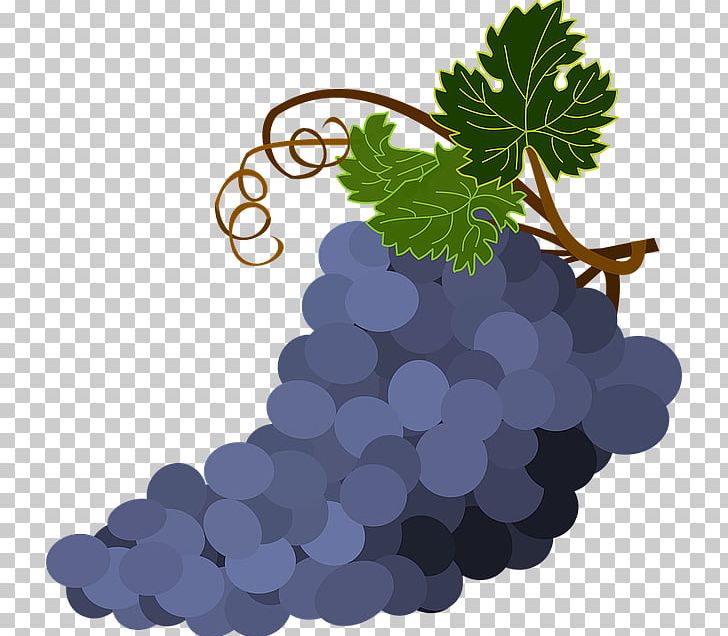 Common Grape Vine Wine Grape Leaves PNG, Clipart, Bilberry, Bunch Of Grapes, Common Grape Vine, Download, Flowering Plant Free PNG Download