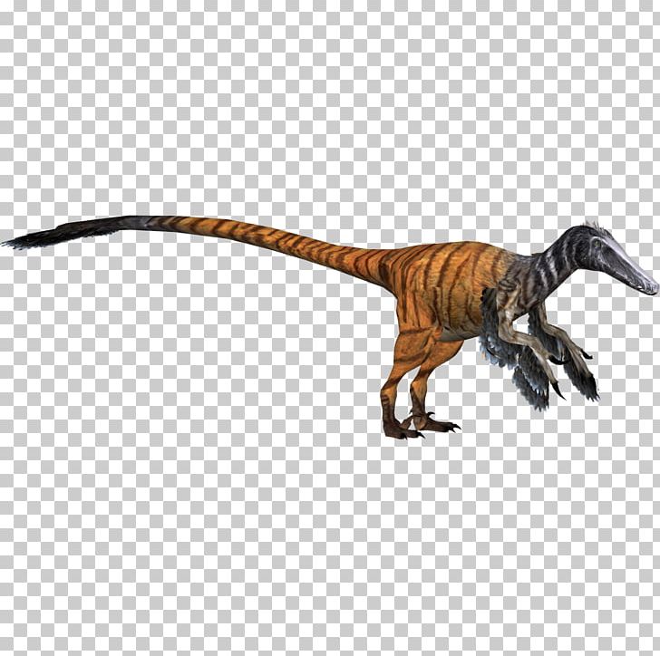Zoo Tycoon 2 Velociraptor Tyrannosaurus Dinosaur PNG, Clipart, Animal Figure, Austroraptor, Dakotaraptor, Deinonychus, Dinosaur Free PNG Download