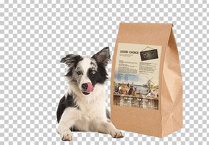 Dog Breed Border Collie Puppy Dog Food Companion Dog PNG, Clipart, Border Collie, Carnivoran, Companion Dog, Dog, Dog Breed Free PNG Download