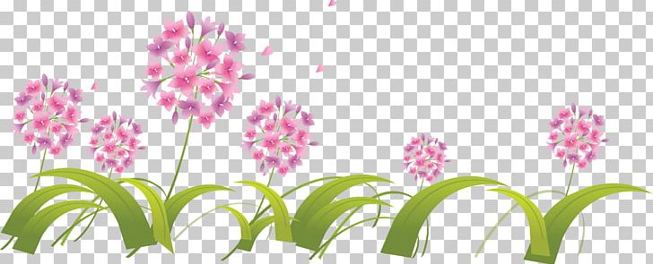 Drawing PNG, Clipart, Art, Branch, Computer Wallpaper, Cosmos Flower, Drawing Free PNG Download