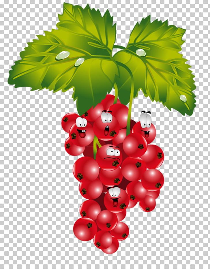 Redcurrant Strawberry Fruit Verse PNG, Clipart, Banana, Berry, Bilberry, Cherry, Currant Free PNG Download