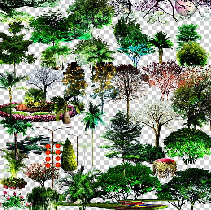 Tree PNG, Clipart, Arecaceae, Art, Coco, Concepteur, Download Free PNG Download