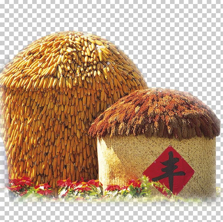 Agriculture Harvest Crop Rice PNG, Clipart, Agriculture, Bumper, Cartoon Corn, Cereals, Commodity Free PNG Download
