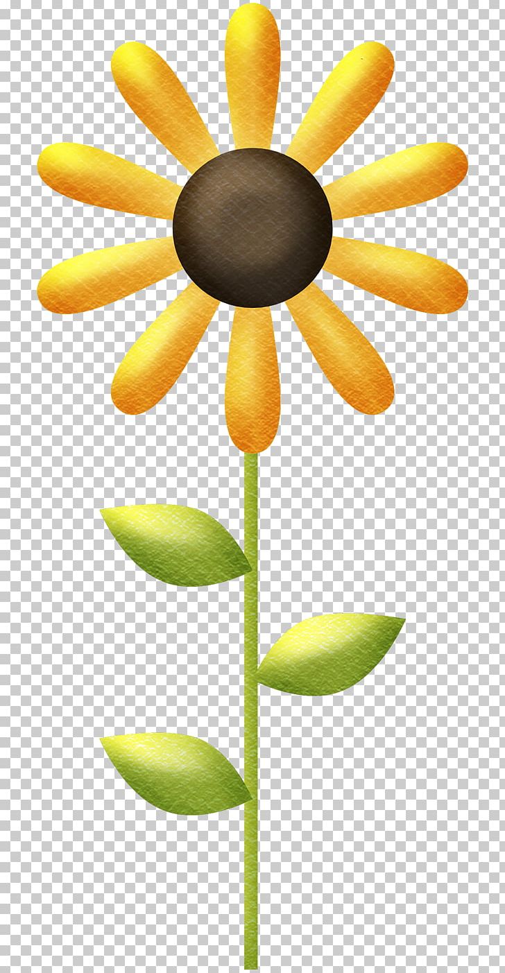 Common Sunflower PNG, Clipart, Common Sunflower, Daisy Family, Flower, Flowering Plant, Flowers Free PNG Download