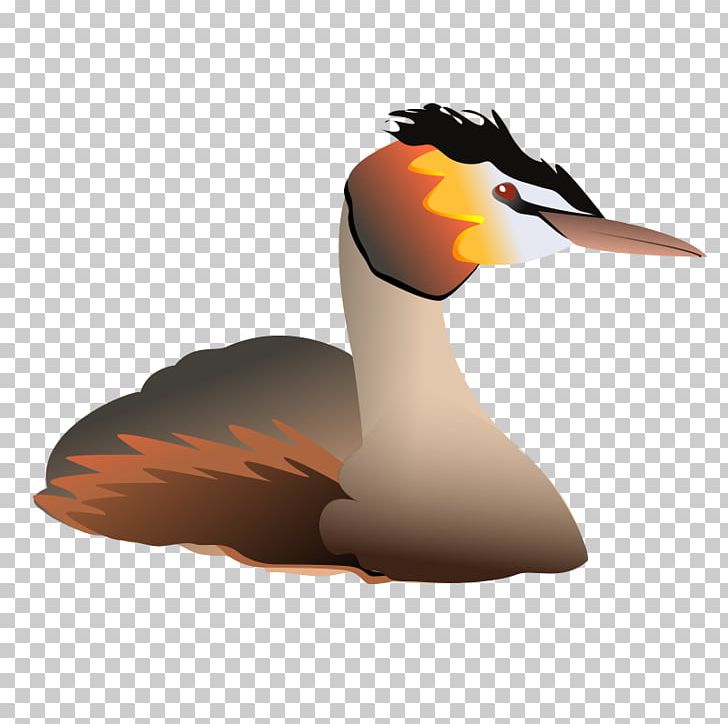 Duck Computer Icons Portable Network Graphics PNG, Clipart, Animals, Beak, Bird, Computer Icons, Download Free PNG Download