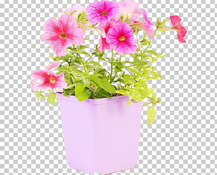 Flowerpot Floral Design Plastic Vase PNG, Clipart, Annual Plant, Cut Flowers, Floral Design, Flower, Flower Arranging Free PNG Download