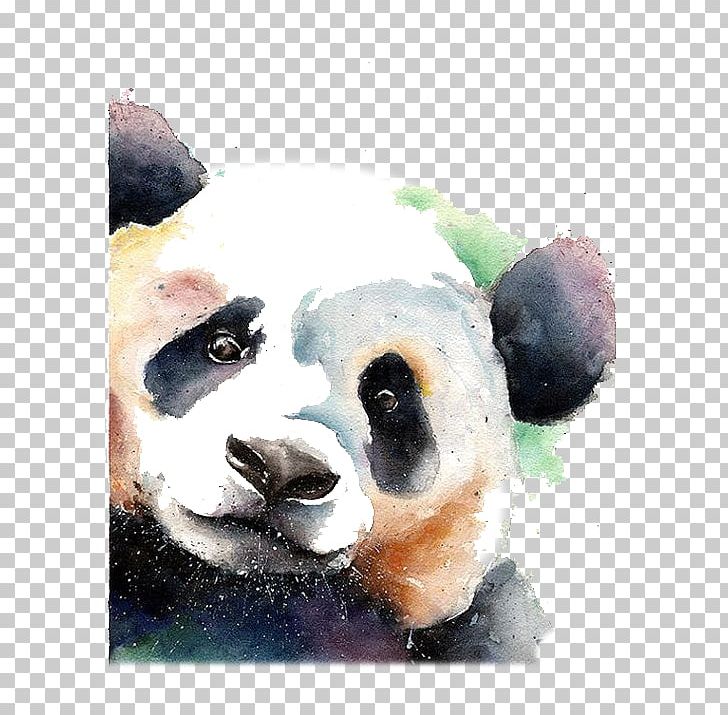 Giant Panda Bear Watercolor Painting Drawing PNG, Clipart, Animal, Animals, Baby Panda, Carnivoran, Cartoon Free PNG Download