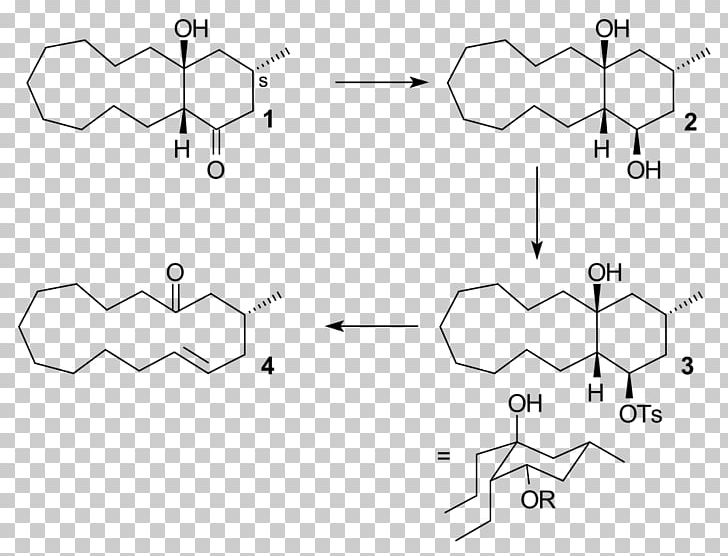 Grob Fragmentation Elimination Reaction Nucleofuge Chemistry PNG, Clipart, Angle, Area, Auto Part, Black And White, Butanol Free PNG Download