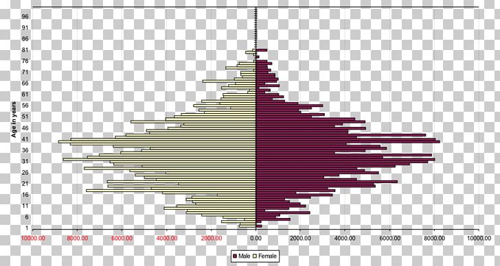 Brixton Demography London Borough Of Hackney Population Black PNG, Clipart, African, African People, Africans, Angle, Black Free PNG Download