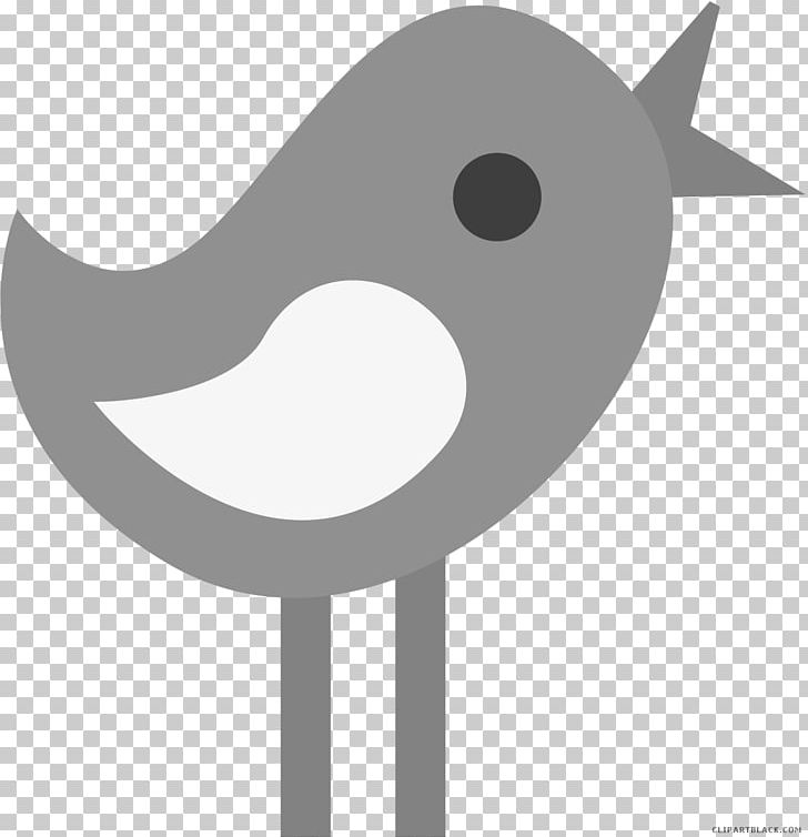 Duck Graphics Bird PNG, Clipart, Angle, Animal, Animals, Beak, Bird Free PNG Download