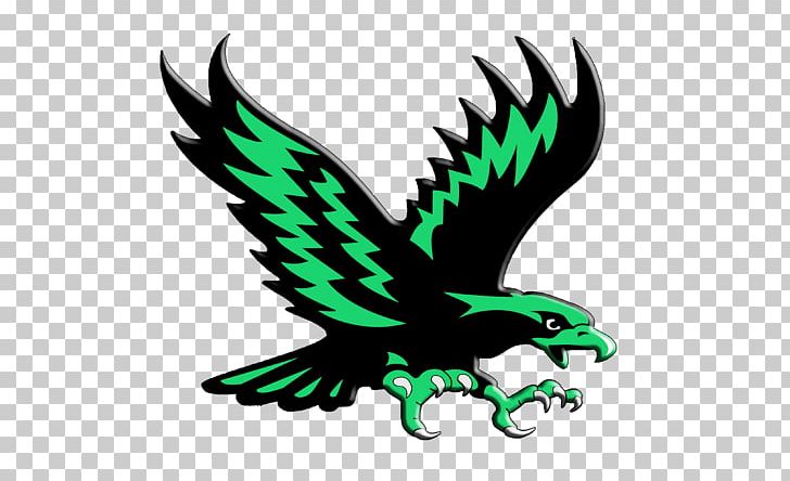 Philadelphia Eagles Nigeria National Football Team Africa Cup Of Nations American Football PNG, Clipart, Accipitriformes, Bald Eagle, Beak, Bird, Bird Of Prey Free PNG Download
