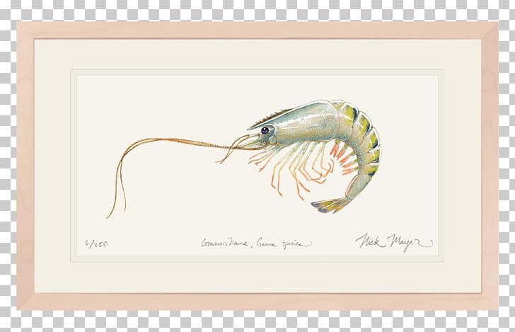Watercolor Painting Paper Nick Mayer Art PNG, Clipart, Albula, Art, Artwork, Beak, Bonefish Free PNG Download