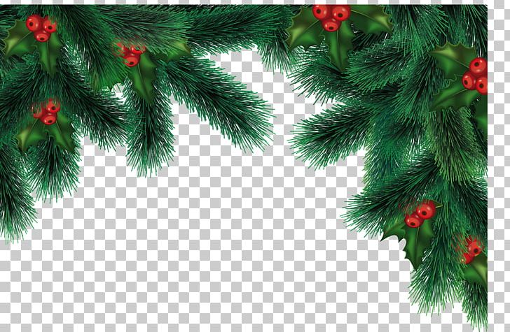 Christmas Decoration Christmas Ornament PNG, Clipart, Biome, Branch, Christmas, Christmas Decoration, Christmas Lights Free PNG Download