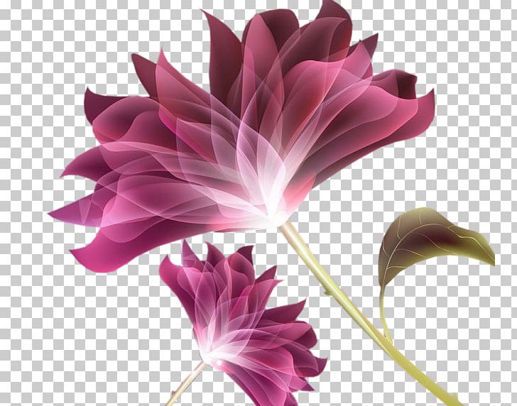Cut Flowers Petal Rose Pink PNG, Clipart, Blue Rose, Cut Flowers, Desktop Wallpaper, Flora, Floral Design Free PNG Download