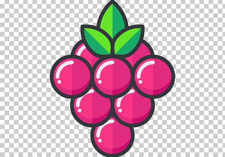 Pokxe9mon GO Grape Icon PNG, Clipart, Cartoon, Download, Encapsulated Postscript, Flower, Flowering Plant Free PNG Download