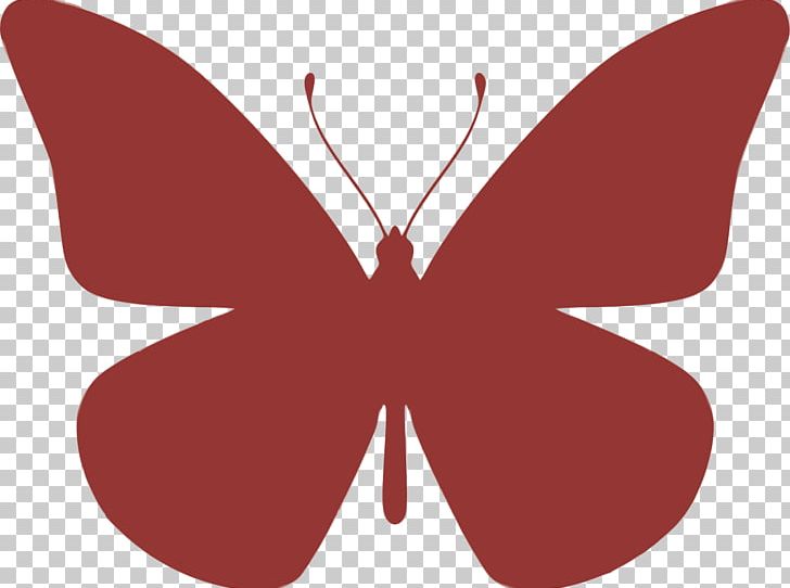 Portable Network Graphics Computer Icons Photography PNG, Clipart, Arthropod, Blog, Brush Footed Butterfly, Butterfly, Computer Icons Free PNG Download
