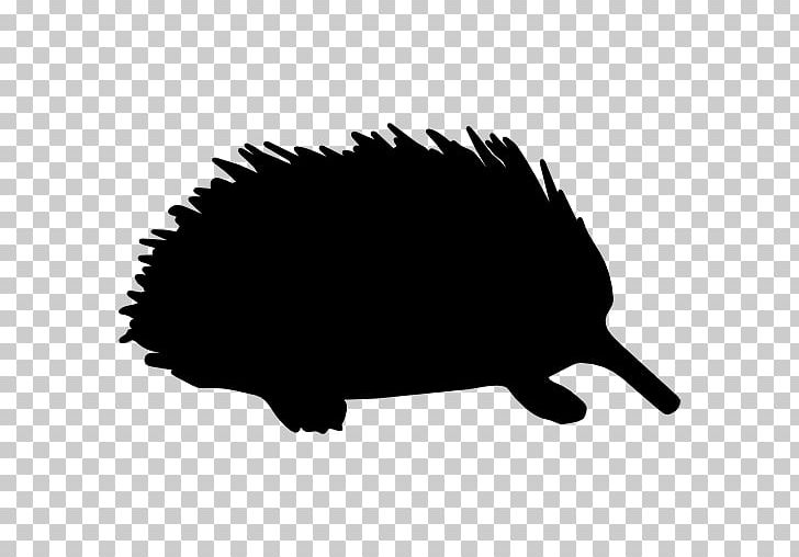 Computer Icons Echidna Mammal PNG, Clipart, Animal, Black, Black And White, Computer Icons, Echidna Free PNG Download