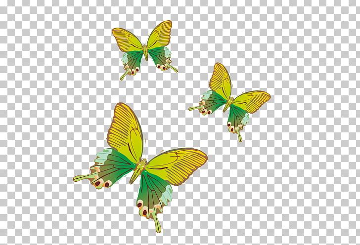 Monarch Butterfly Yellow PNG, Clipart, Background Green, Brush Footed Butterfly, Butterfly, Butterfly Vector, Cartoon Free PNG Download