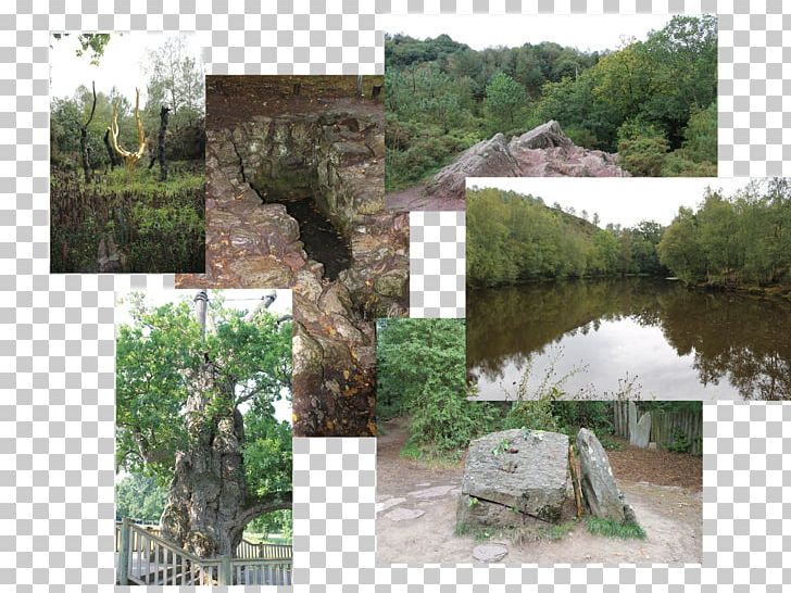 Nature Reserve Water Resources Property Wetland Flora PNG, Clipart, Barentonbugny, Flora, Garden, Grass, Land Lot Free PNG Download