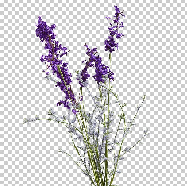 English Lavender Purple Artificial Flower Violet PNG, Clipart, Art, Artificial Flower, Branch, Color, Common Sage Free PNG Download
