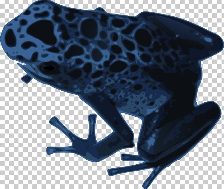 Frog Amphibian PNG, Clipart, Amphibian, Animals, Blue, Blue Poison Dart Frog, Cobalt Blue Free PNG Download