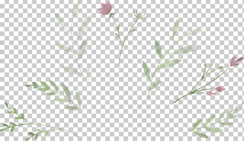 Leaf Branch PNG, Clipart, Drawing, Floral Design, Flower, Leaf, Leaf Branch Free PNG Download