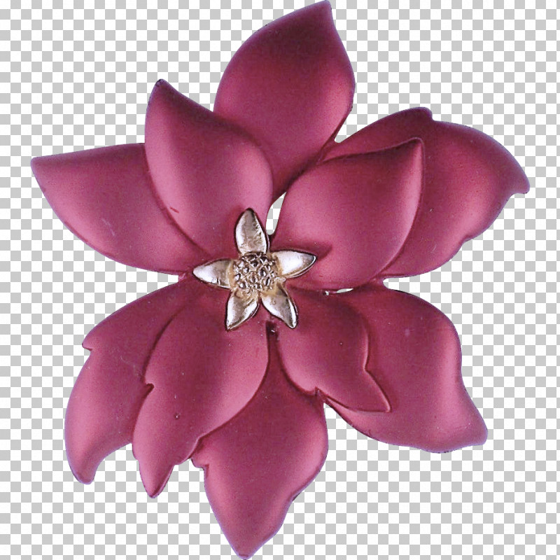 Cut Flowers Petal Flower Lilac / M Lilac M PNG, Clipart, Biology, Cut Flowers, Flower, Lilac M, Magenta Telekom Free PNG Download