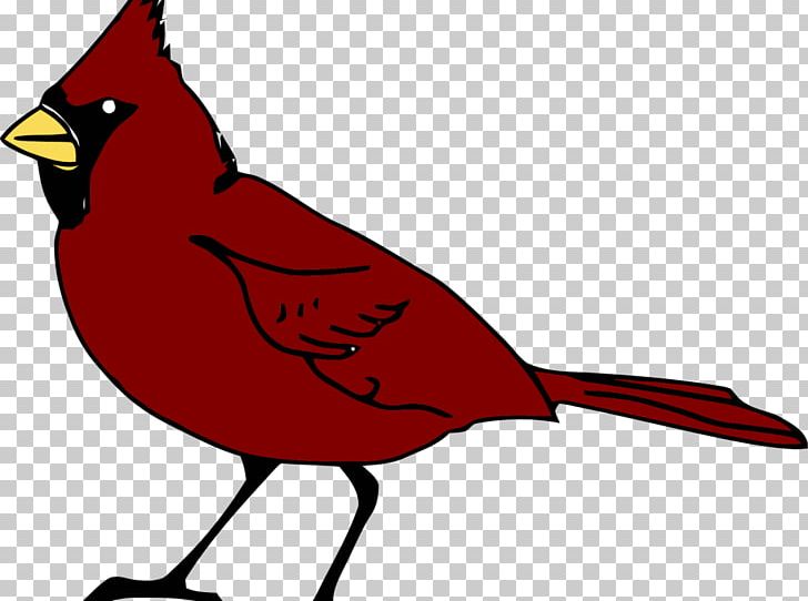 Bird Northern Cardinal PNG, Clipart, Animals, Artwork, Beak, Bird, Bird Clipart Free PNG Download