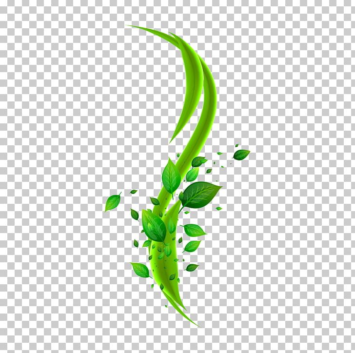 Leaf Portable Network Graphics Green Curve PNG, Clipart, Branch, Color, Curve, Download, Flora Free PNG Download