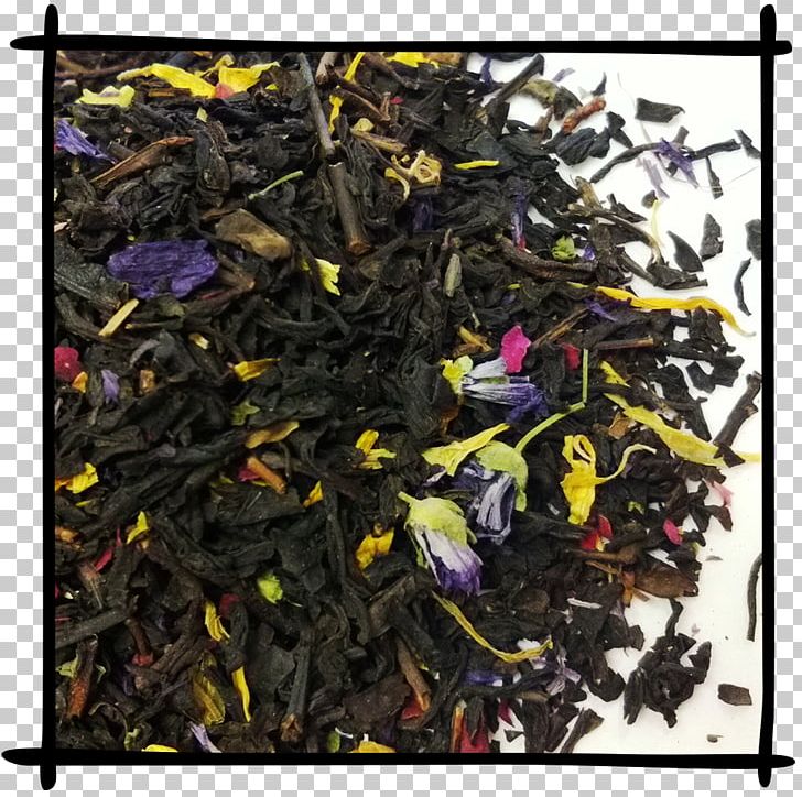 Nilgiri Tea Oolong Tea Plant Scrap PNG, Clipart, Ceylon Tea, Da Hong Pao, Dianhong, Earl Grey Tea, Keemun Free PNG Download