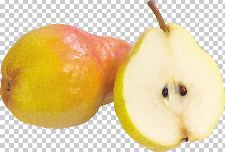 Pear PNG, Clipart, Pear Free PNG Download