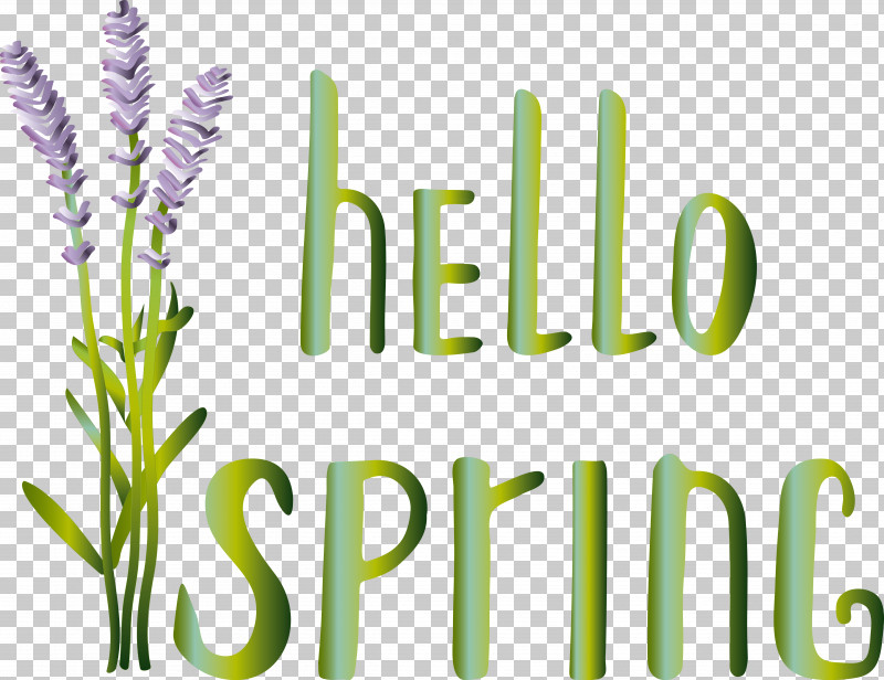 Lavender PNG, Clipart, Drawing, Flower, Lavender, Painting, Plant Free PNG Download
