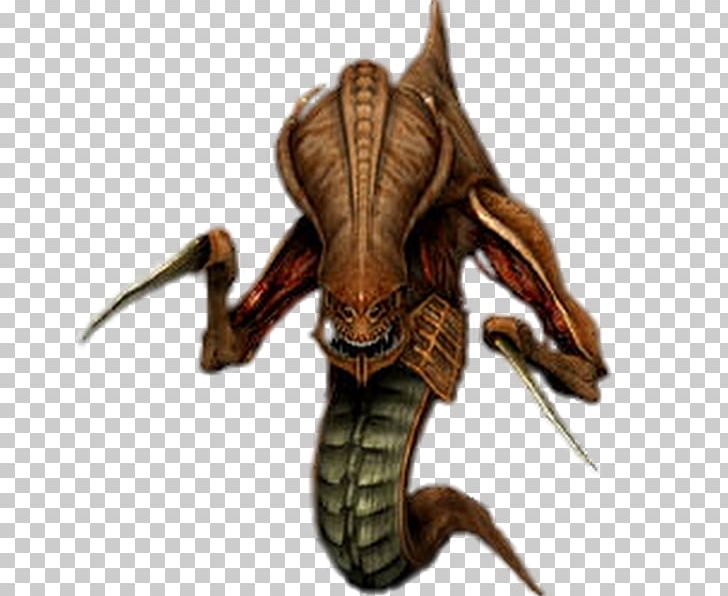 StarCraft II: Wings Of Liberty StarCraft: Brood War Zerg Sarah Kerrigan Terran PNG, Clipart, Blizzard Entertainment, Decapoda, Hidralisco, Insect, Invertebrate Free PNG Download