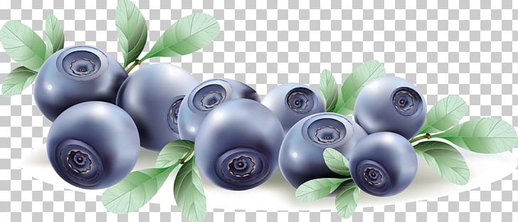 Muffin Blueberry Fruit PNG, Clipart, Berry, Bilberry, Blueberry, Drawing, Food Free PNG Download