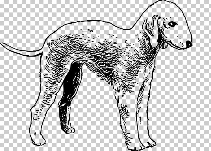 Bedlington Terrier Bull Terrier Airedale Terrier Boxer PNG, Clipart, Airedale Terrier, Bedlington, Bedlington Terrier, Black And White, Boxer Free PNG Download