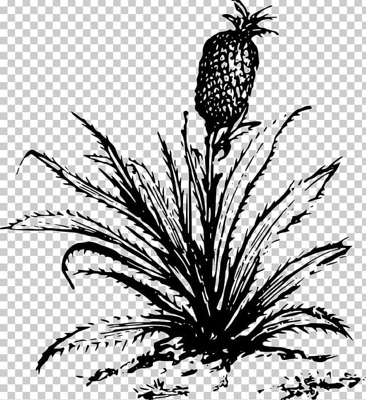 Pineapple Growing Computer Icons PNG, Clipart, Black And White, Branch, Commodity, Computer Icons, Desktop Wallpaper Free PNG Download