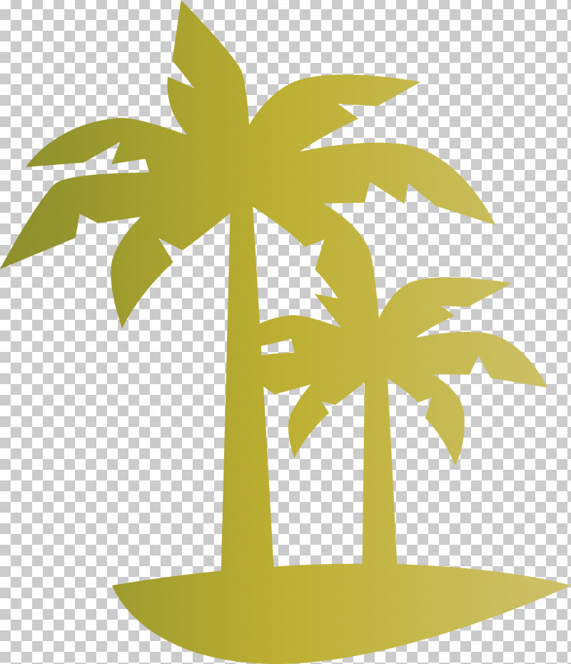 Palm Tree Beach Tropical PNG, Clipart, Beach, Biology, Branch, Flower, Leaf Free PNG Download