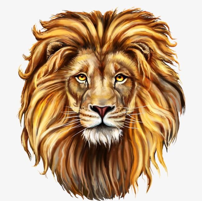 Lion PNG, Clipart, Aggression, Anim, Animal, Animal Head, Animals In The Wild Free PNG Download