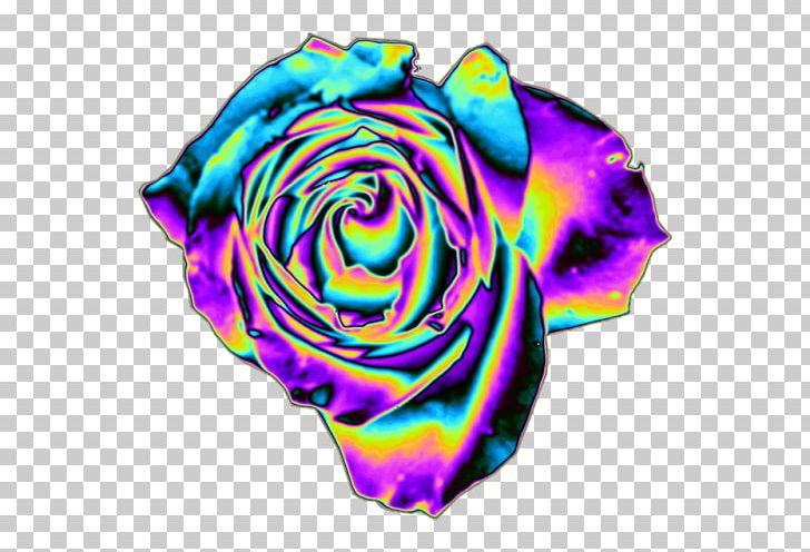 Rainbow Rose Garden Roses Cut Flowers Petal PNG, Clipart, Aesthetic, Cut Flowers, Flower, Flowering Plant, Flowers Free PNG Download