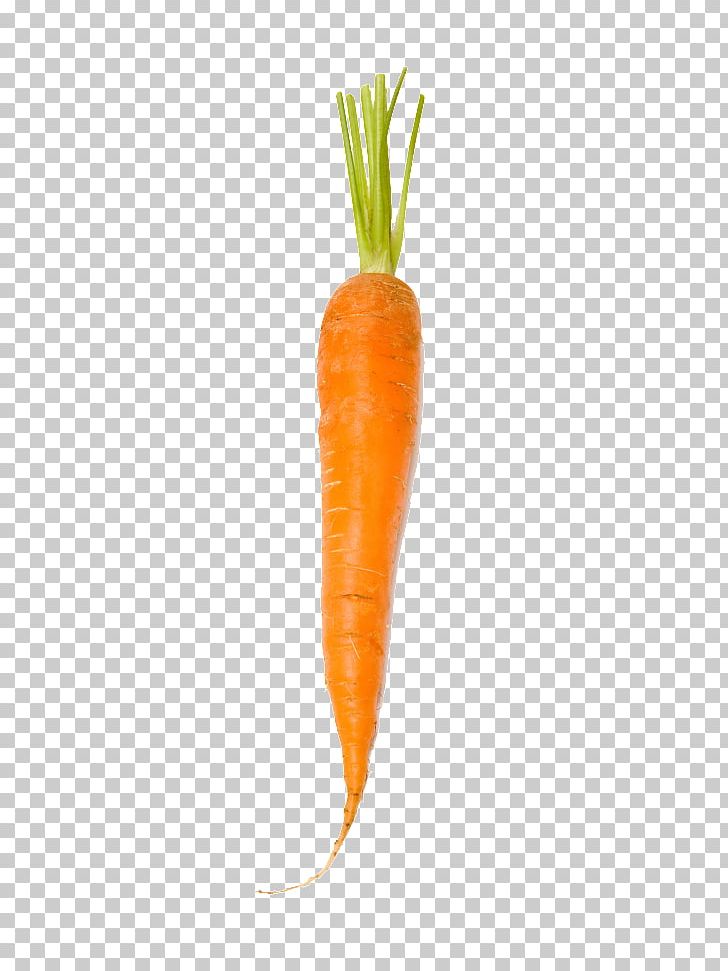 Baby Carrot Orange PNG, Clipart, Baby Carrot, Bunch Of Carrots, Carrot, Carrot Cartoon, Carrot Juice Free PNG Download